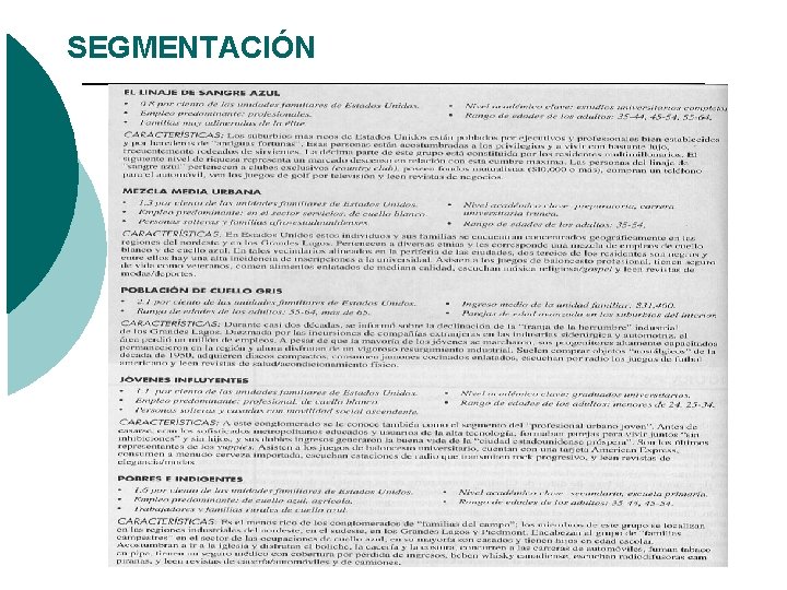 SEGMENTACIÓN SEGMENTACIÓN