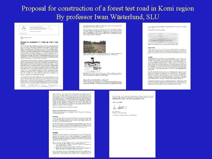 Proposal for construction of a forest test road in Komi region By professor Iwan