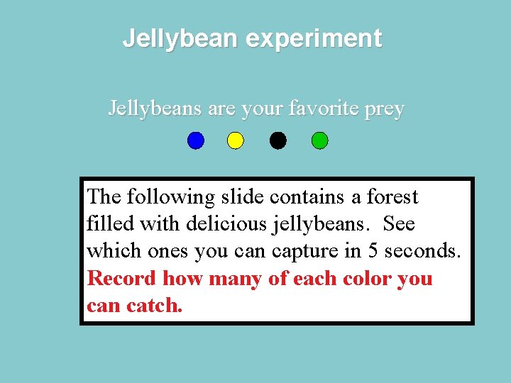 Jellybean experiment Jellybeans are your favorite prey The following slide contains a forest filled