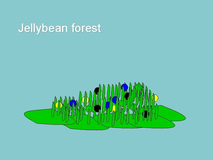 Jellybean forest 