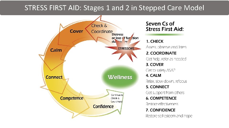 STRESS FIRST AID: Stages 1 and 2 in Stepped Care Model 