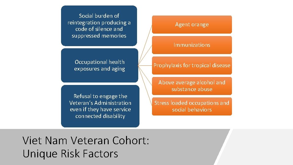 Social burden of reintegration producing a code of silence and suppressed memories Agent orange