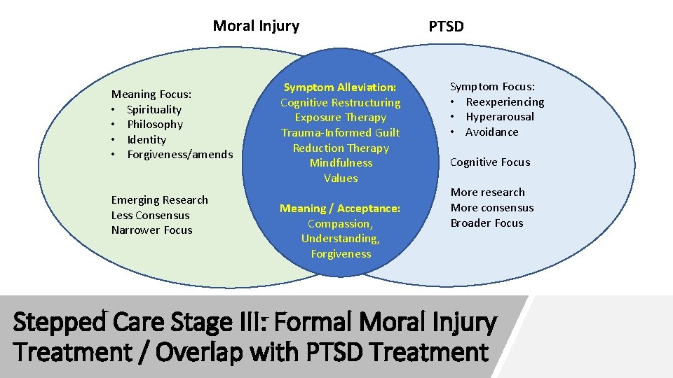 Moral Injury Meaning Focus: • Spirituality • Philosophy • Identity • Forgiveness/amends Emerging Research