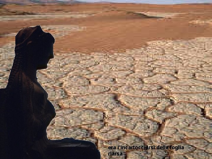era l’incartocciarsi della foglia riarsa 