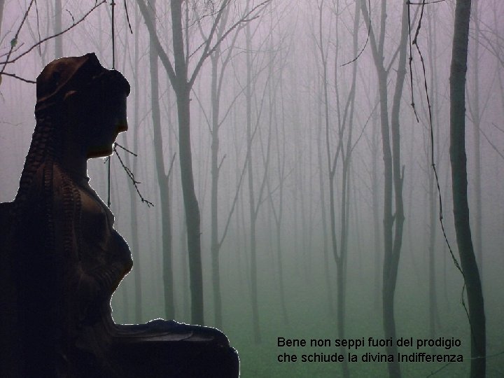 Bene non seppi fuori del prodigio che schiude la divina Indifferenza 