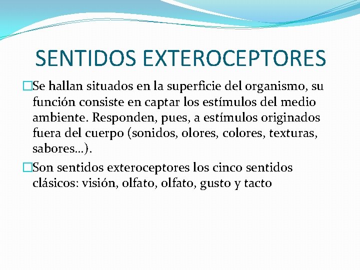 SENTIDOS EXTEROCEPTORES �Se hallan situados en la superficie del organismo, su función consiste en