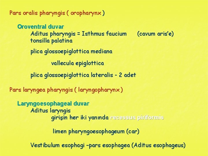 Pars oralis pharyngis ( oropharynx ) Oroventral duvar Aditus pharyngis = Isthmus faucium tonsilla