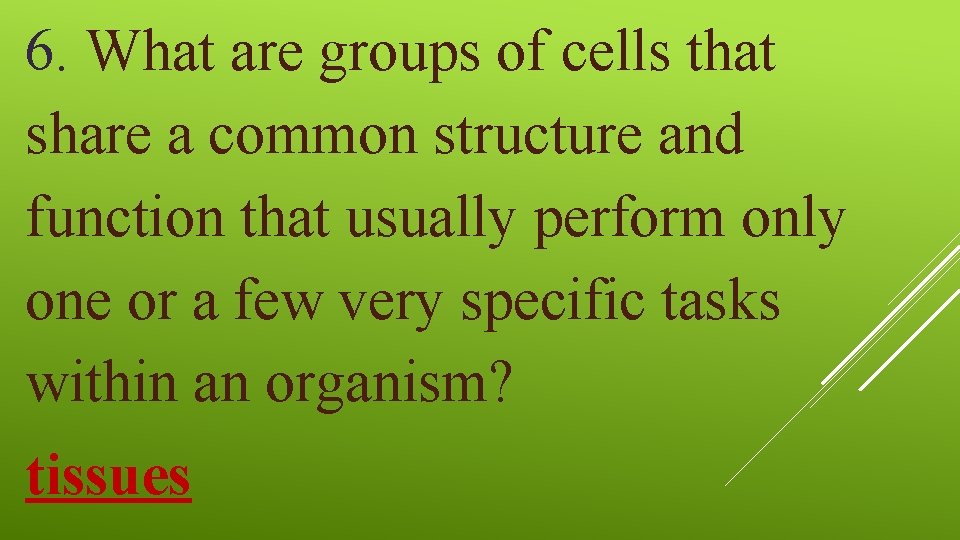 6. What are groups of cells that share a common structure and function that