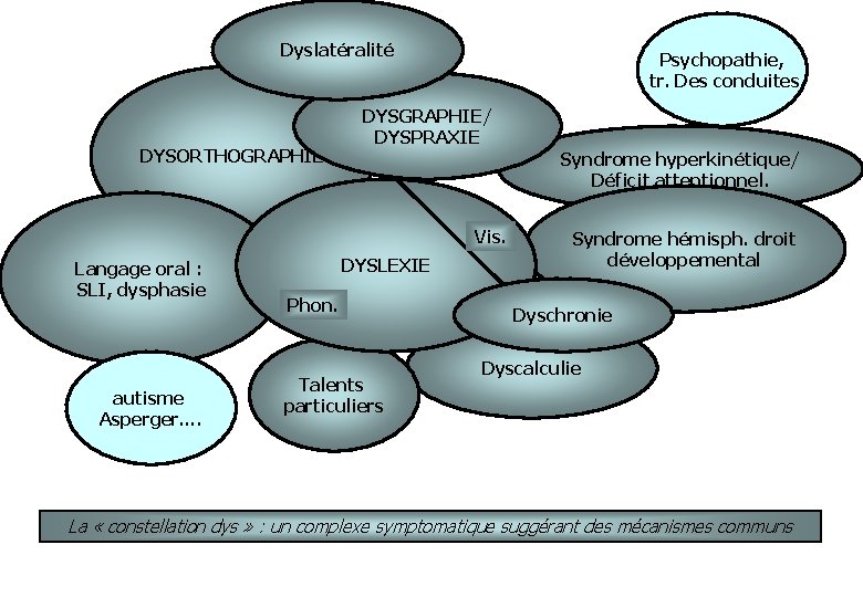 Dyslatéralité DYSORTHOGRAPHIE Psychopathie, tr. Des conduites DYSGRAPHIE/ DYSPRAXIE Syndrome hyperkinétique/ Déficit attentionnel. Vis. Langage