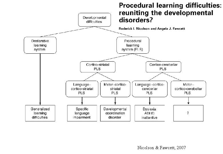 Nicolson & Fawcett, 2007 