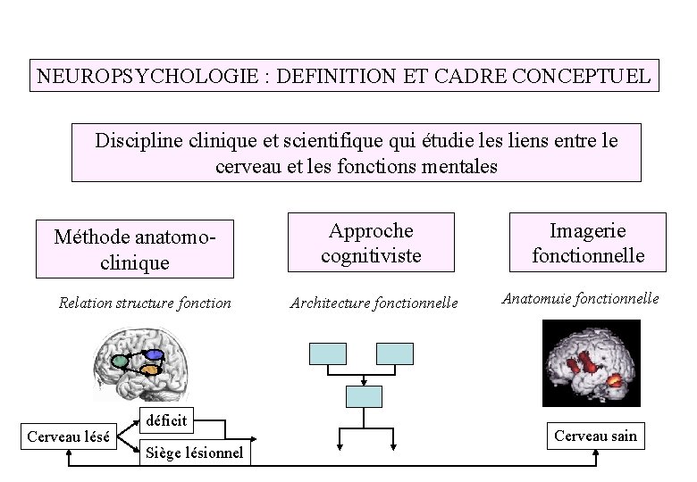 NEUROPSYCHOLOGIE : DEFINITION ET CADRE CONCEPTUEL Discipline clinique et scientifique qui étudie les liens