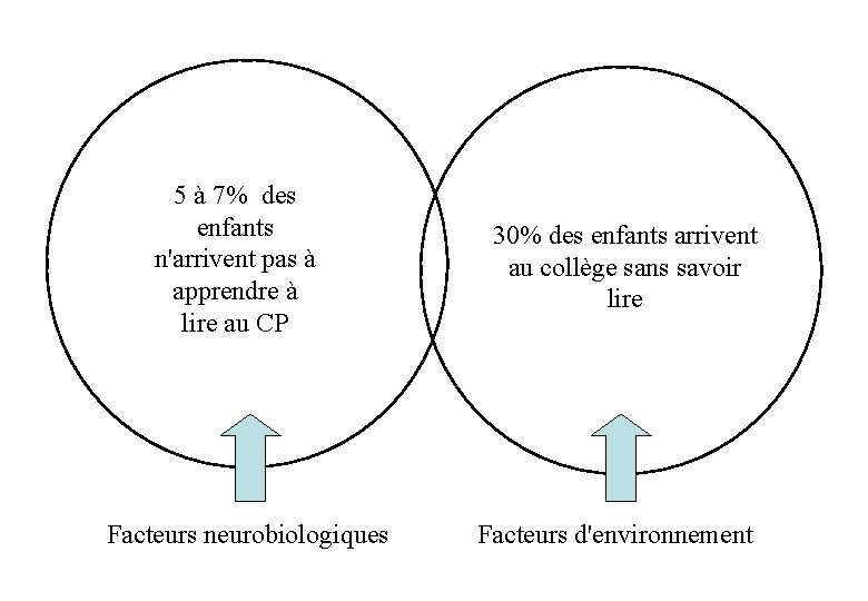 5 à 7% des enfants n'arrivent pas à apprendre à lire au CP Facteurs