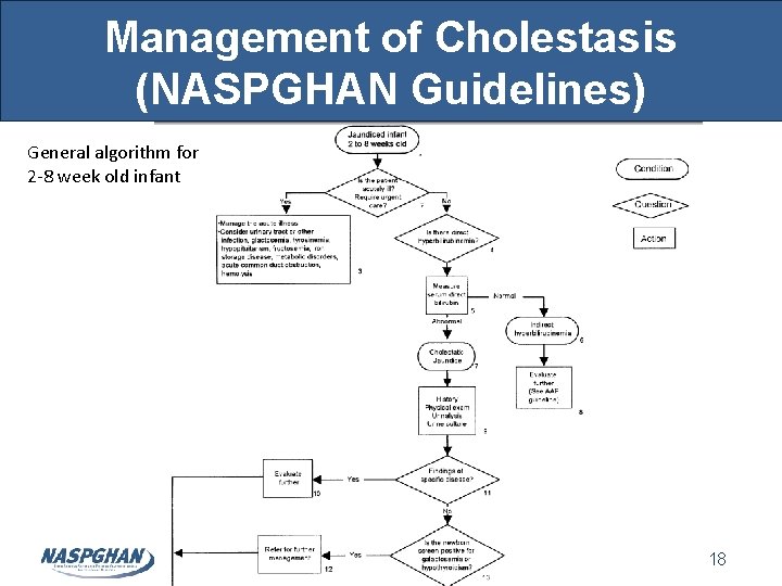 Management of Cholestasis (NASPGHAN Guidelines) General algorithm for 2 -8 week old infant 18