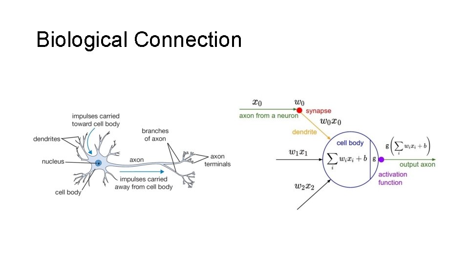 Training Neural Networks Part 1 About me Or