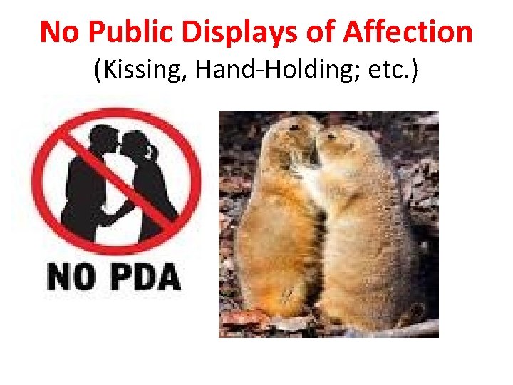 No Public Displays of Affection (Kissing, Hand-Holding; etc. ) 