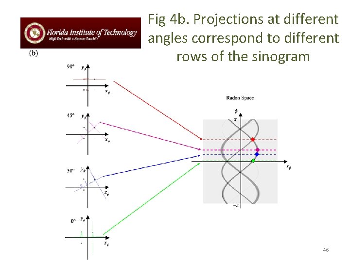 Fig 4 b. Projections at different angles correspond to different rows of the sinogram