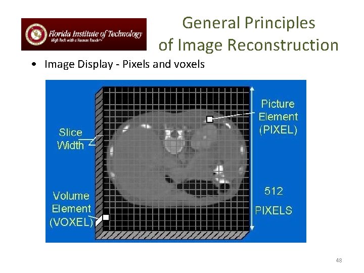 General Principles of Image Reconstruction • Image Display - Pixels and voxels 48 