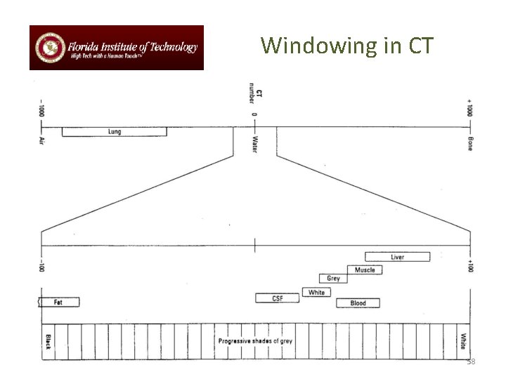 Windowing in CT 58 
