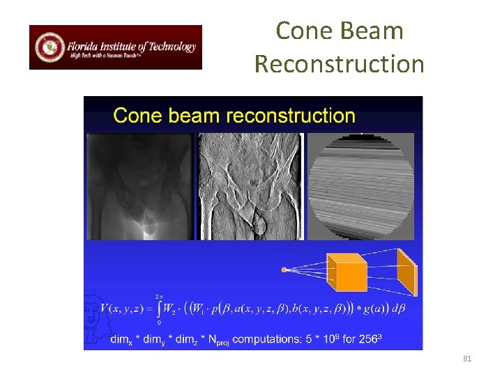 Cone Beam Reconstruction 81 