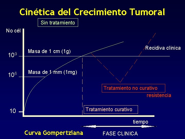 Cinética del Crecimiento Tumoral Sin tratamiento No cél 109 106 Recidiva clínica Masa de