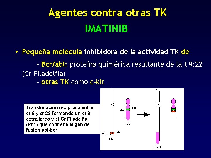 Agentes contra otras TK IMATINIB • Pequeña molécula inhibidora de la actividad TK de