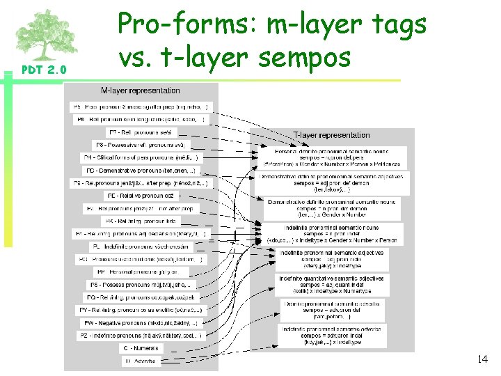 PDT 2. 0 Pro-forms: m-layer tags vs. t-layer sempos 14 