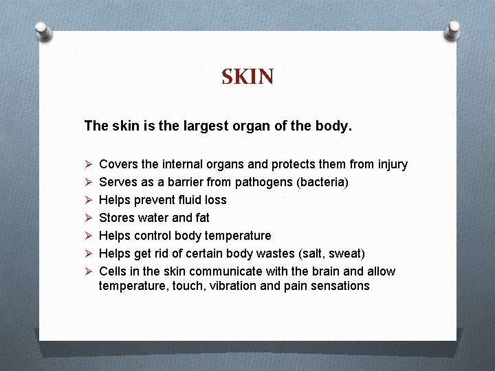 SKIN The skin is the largest organ of the body. Ø Covers the internal SKIN The skin is the largest organ of the body. Ø Covers the internal