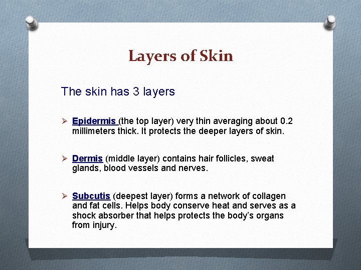 Layers of Skin The skin has 3 layers Ø Epidermis (the top layer) very Layers of Skin The skin has 3 layers Ø Epidermis (the top layer) very