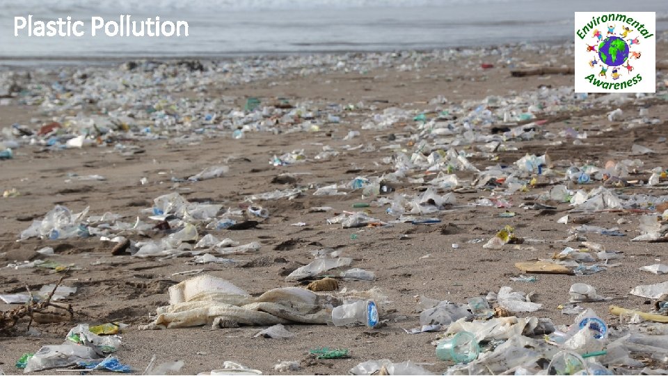 Plastic Pollution 