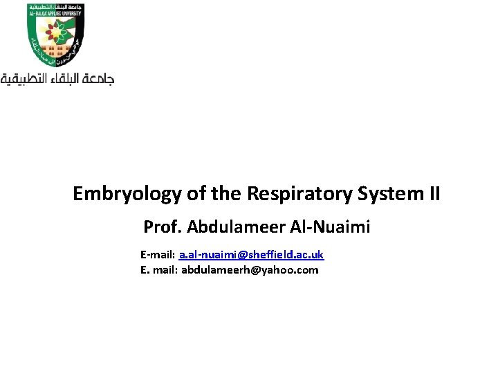 Embryology of the Respiratory System II Prof. Abdulameer Al-Nuaimi E-mail: a. al-nuaimi@sheffield. ac. uk