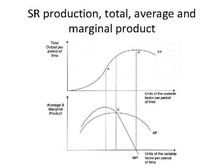 SR production, total, average and marginal product 