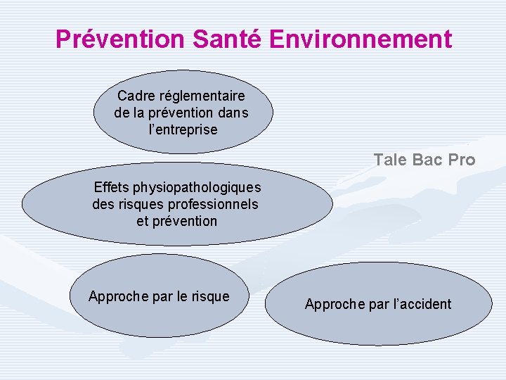 Prévention Santé Environnement Cadre réglementaire de la prévention dans l’entreprise Tale Bac Pro Effets