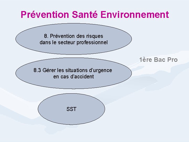 Prévention Santé Environnement 8. Prévention des risques dans le secteur professionnel 1ère Bac Pro