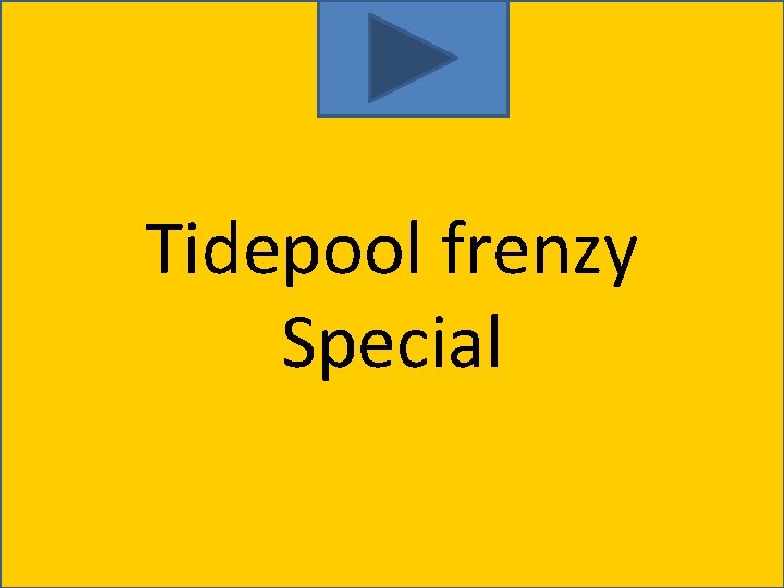 Tidepool frenzy Special 