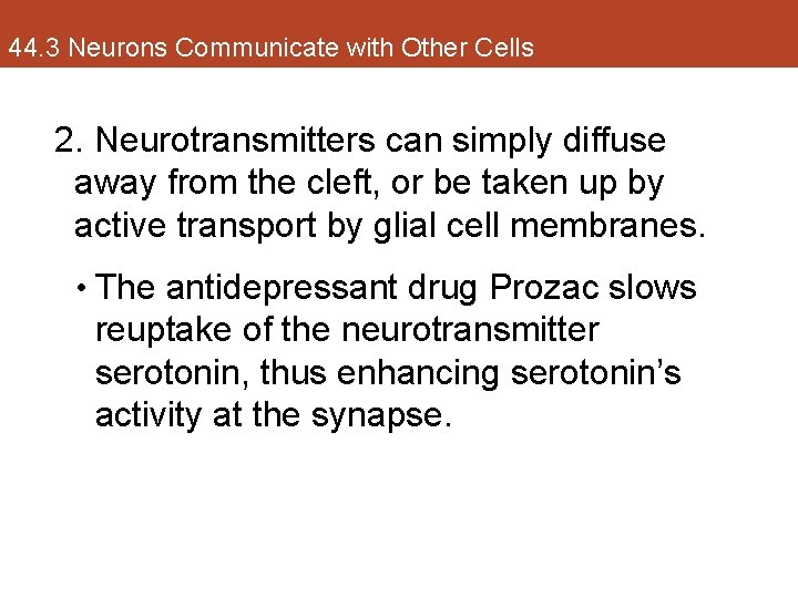 44. 3 Neurons Communicate with Other Cells 2. Neurotransmitters can simply diffuse away from