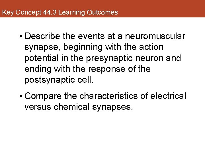 Key Concept 44. 3 Learning Outcomes • Describe the events at a neuromuscular synapse,