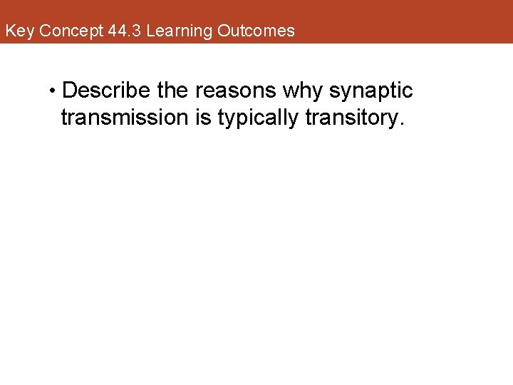 Key Concept 44. 3 Learning Outcomes • Describe the reasons why synaptic transmission is