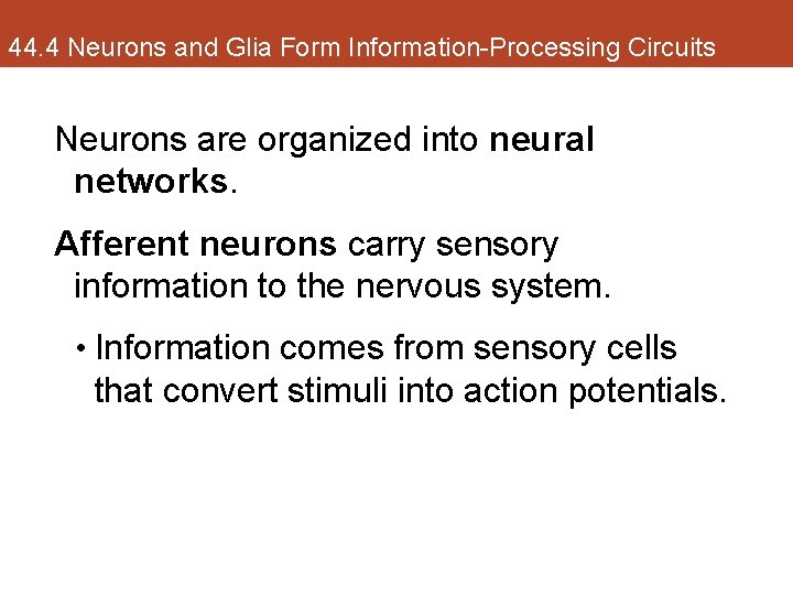 44. 4 Neurons and Glia Form Information-Processing Circuits Neurons are organized into neural networks.