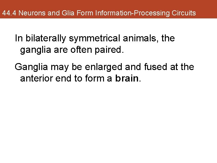 44. 4 Neurons and Glia Form Information-Processing Circuits In bilaterally symmetrical animals, the ganglia