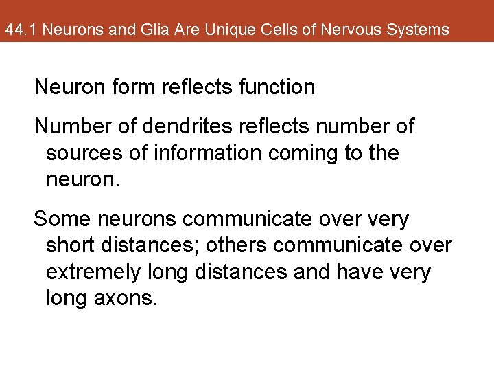 44. 1 Neurons and Glia Are Unique Cells of Nervous Systems Neuron form reflects