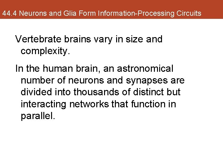 44. 4 Neurons and Glia Form Information-Processing Circuits Vertebrate brains vary in size and
