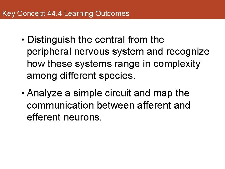 Key Concept 44. 4 Learning Outcomes • Distinguish the central from the peripheral nervous