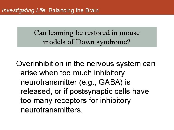 Investigating Life: Balancing the Brain Can learning be restored in mouse models of Down
