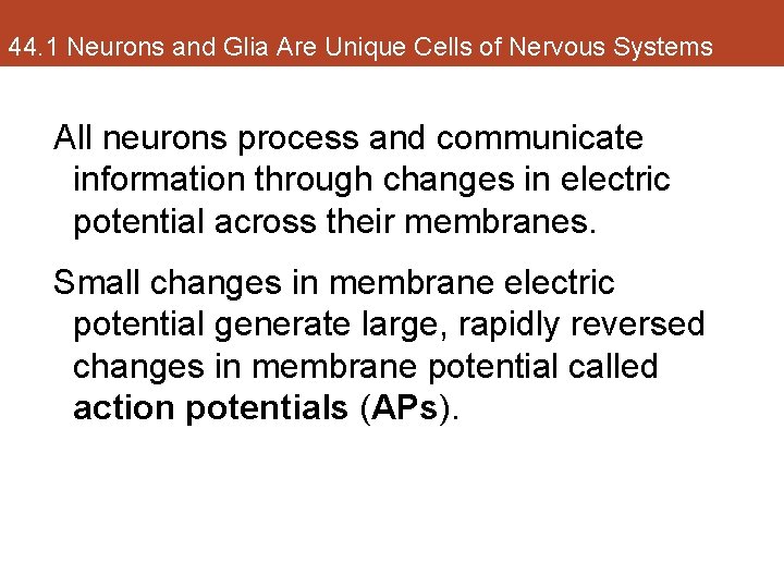 44. 1 Neurons and Glia Are Unique Cells of Nervous Systems All neurons process