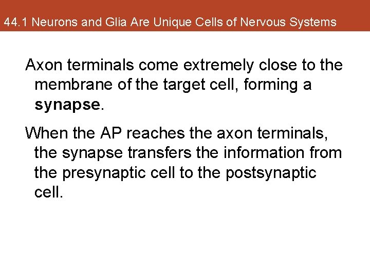 44. 1 Neurons and Glia Are Unique Cells of Nervous Systems Axon terminals come