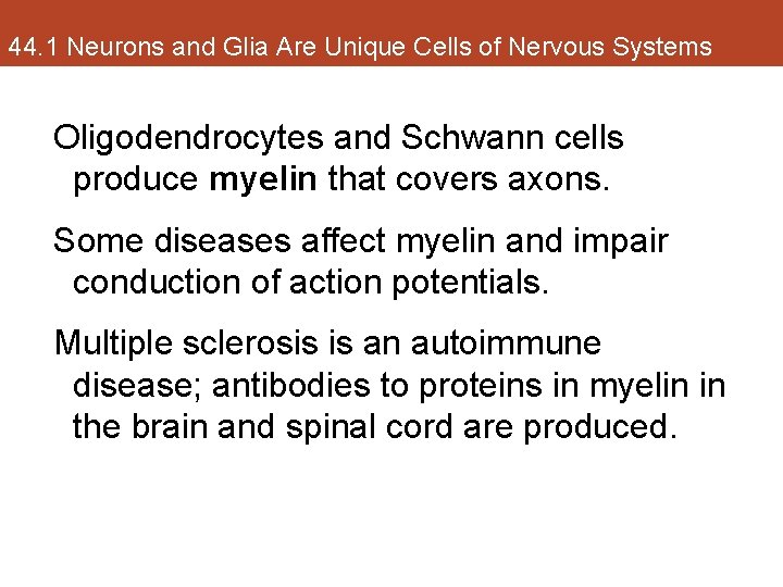 44. 1 Neurons and Glia Are Unique Cells of Nervous Systems Oligodendrocytes and Schwann