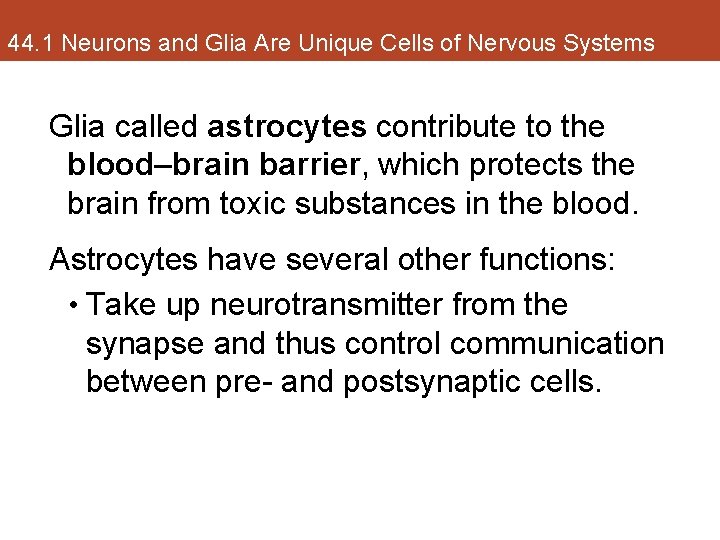 44. 1 Neurons and Glia Are Unique Cells of Nervous Systems Glia called astrocytes