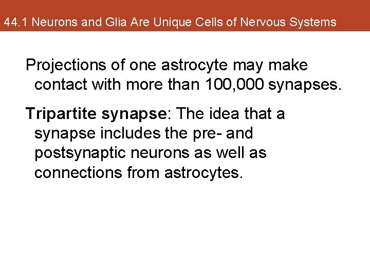 44. 1 Neurons and Glia Are Unique Cells of Nervous Systems Projections of one