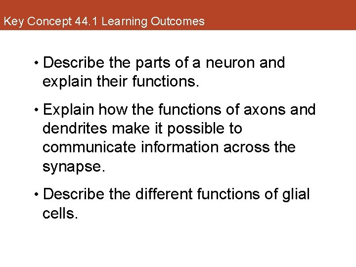 Key Concept 44. 1 Learning Outcomes • Describe the parts of a neuron and