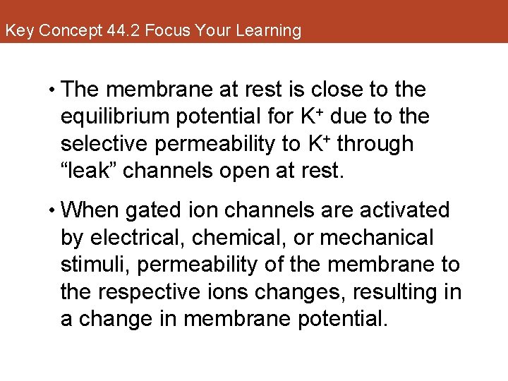 Key Concept 44. 2 Focus Your Learning • The membrane at rest is close